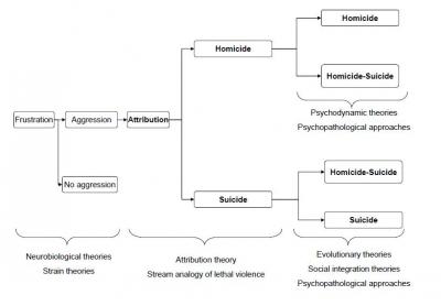 Figure 1: A diagram illustrating the various approaches to the homicide-suicide. Adapted from “Homicide followed by suicide: an empirical analysis” by MCA Liem, 2010, Dissertation Utrecht University, the Netherlands. Adapted with permission.